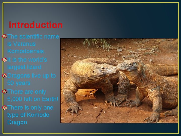 Introduction The scientific name is Varanus Komodoensis. It is the world’s largest lizard Dragons