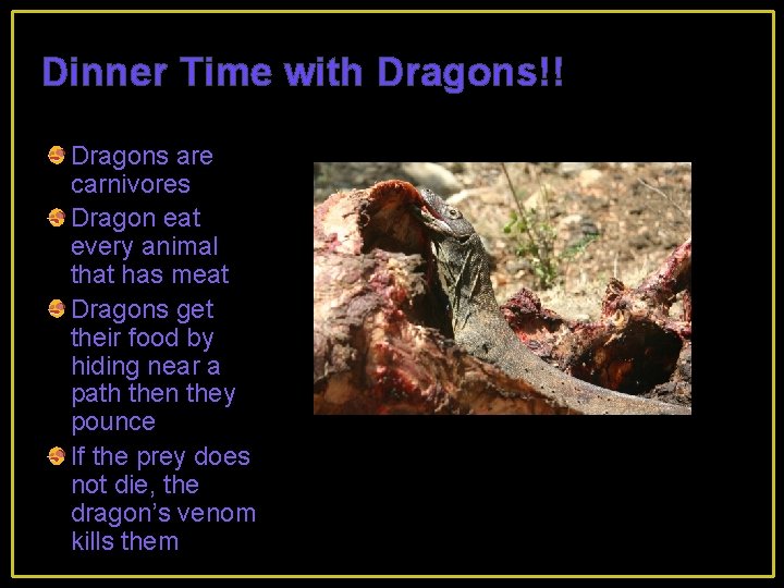 Dinner Time with Dragons!! Dragons are carnivores Dragon eat every animal that has meat