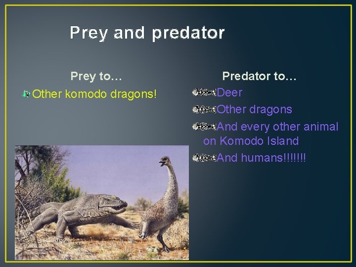 Prey and predator Prey to… Other komodo dragons! Predator to… Deer Other dragons And