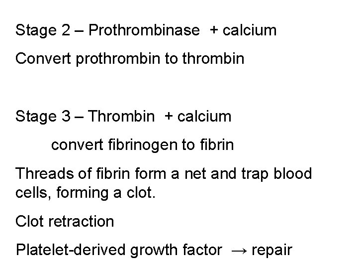 Stage 2 – Prothrombinase + calcium Convert prothrombin to thrombin Stage 3 – Thrombin