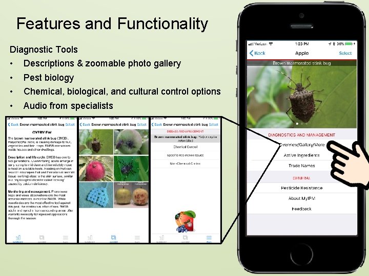 Features and Functionality Diagnostic Tools • • Descriptions & zoomable photo gallery Pest biology