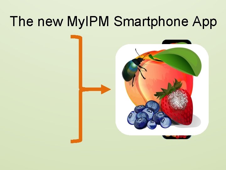 The new My. IPM Smartphone App 