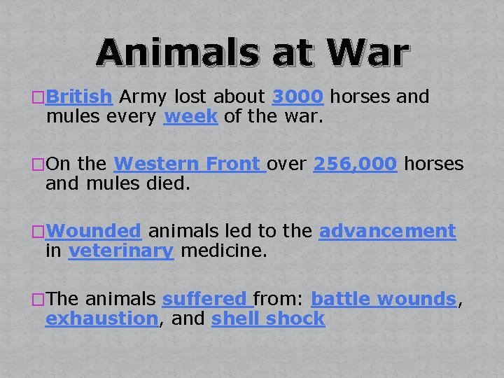 Animals at War �British Army lost about 3000 horses and mules every week of