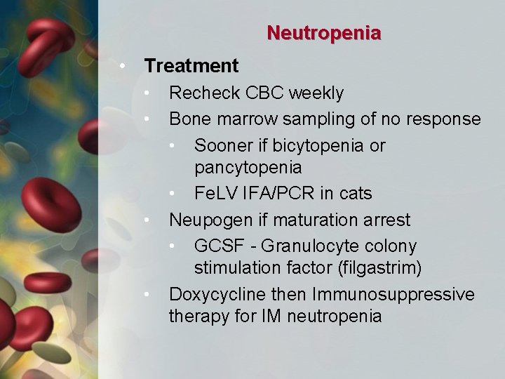Neutropenia • Treatment • • Recheck CBC weekly Bone marrow sampling of no response