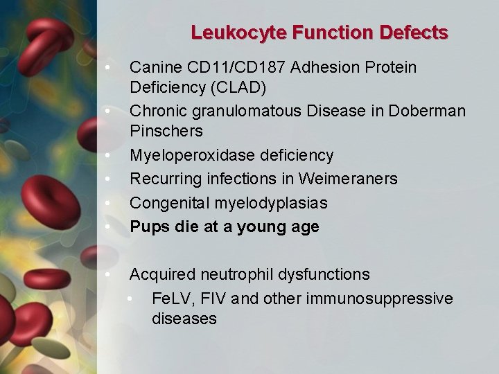 Leukocyte Function Defects • • Canine CD 11/CD 187 Adhesion Protein Deficiency (CLAD) Chronic