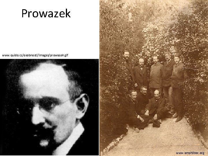 Prowazek www. quido. cz/osobnosti/images/prowazek. gif www. amphilsoc. org 