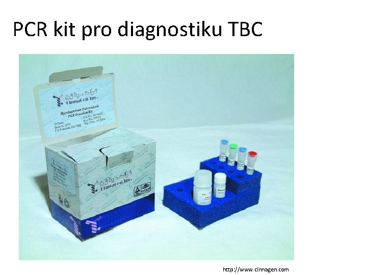 PCR kit pro diagnostiku TBC http: //www. cinnagen. com 