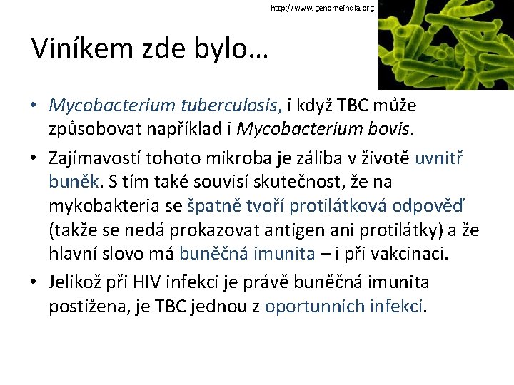 http: //www. genomeindia. org Viníkem zde bylo… • Mycobacterium tuberculosis, i když TBC může