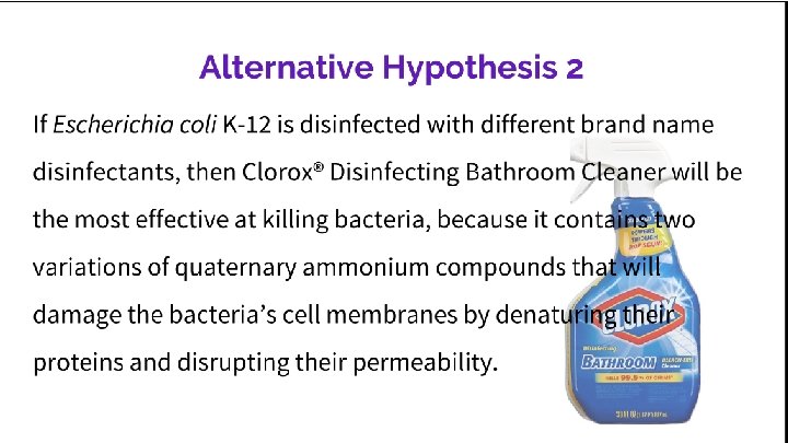 Alternative Hypothesis 2 If Escherichia coli K-12 is disinfected with different brand name disinfectants,