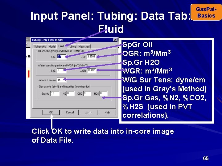 Input Panel: Tubing: Data Tab: Fluid Gas. Pal. Basics Sp. Gr Oil OGR: m