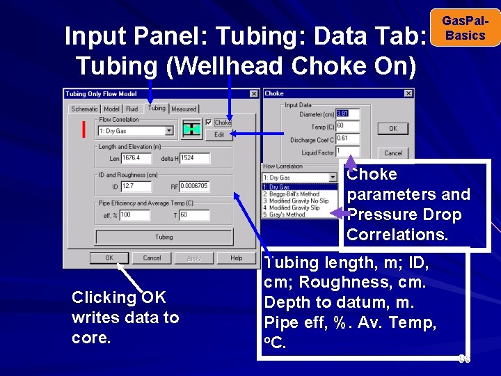 Input Panel: Tubing: Data Tab: Tubing (Wellhead Choke On) Gas. Pal. Basics Choke parameters