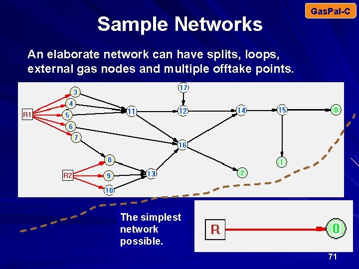 Sample Networks Gas. Pal-C An elaborate network can have splits, loops, external gas nodes