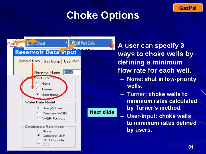 Choke Options Gas. Pal A user can specify 3 ways to choke wells by