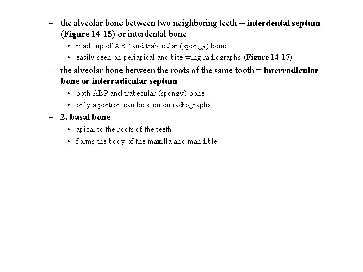 – the alveolar bone between two neighboring teeth = interdental septum (Figure 14 -15)