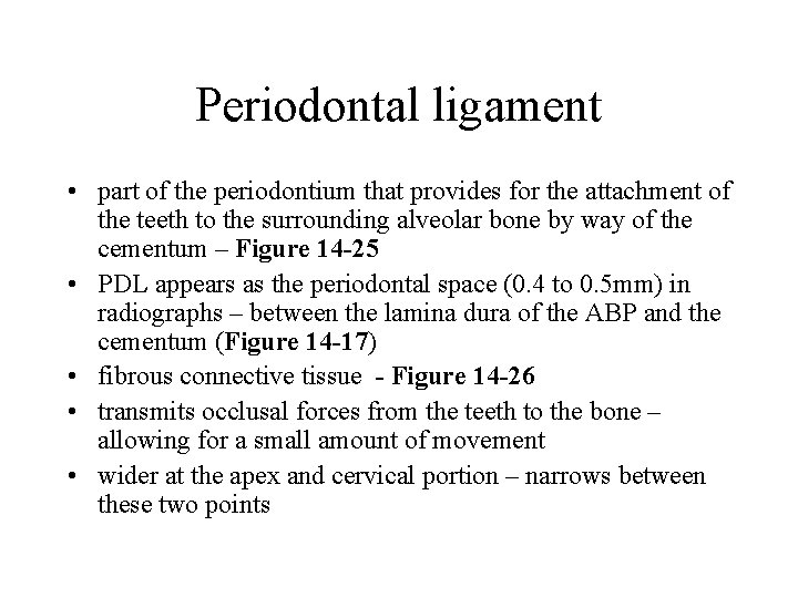 Periodontal ligament • part of the periodontium that provides for the attachment of the