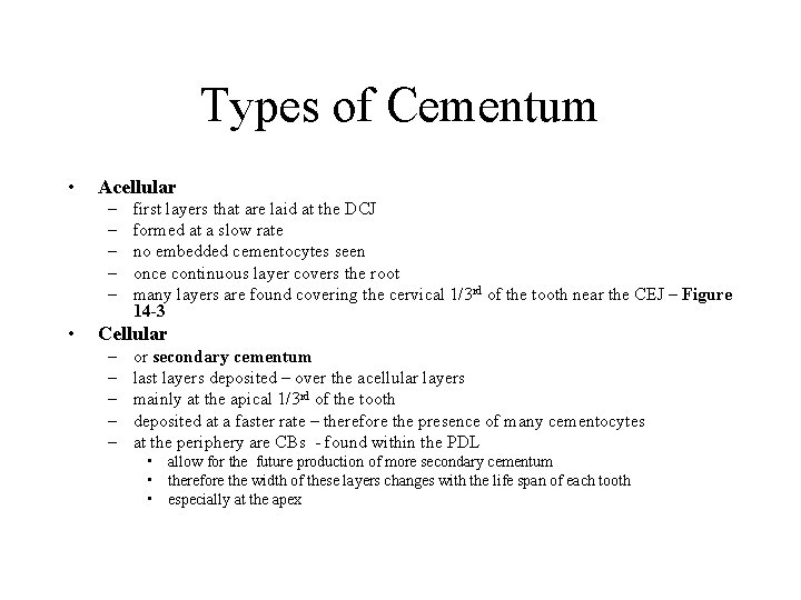 Types of Cementum • Acellular – – – • first layers that are laid