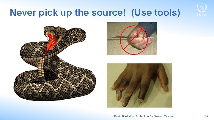Never pick up the source! (Use tools) Basic Radiation Protection for Search Teams 14 Never pick up the source! (Use tools) Basic Radiation Protection for Search Teams 14