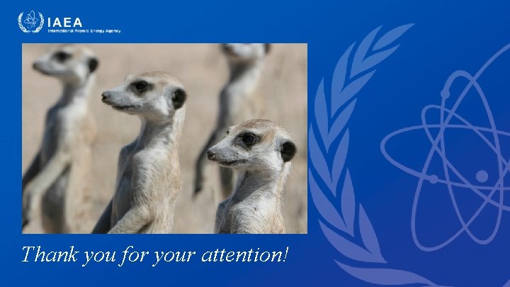 Thank you for your attention! Thank you for your attention!