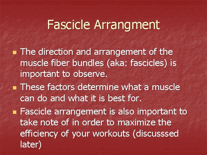 Fascicle Arrangment n n n The direction and arrangement of the muscle fiber bundles