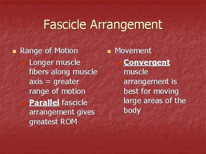 Fascicle Arrangement n Range of Motion n Longer muscle fibers along muscle axis =