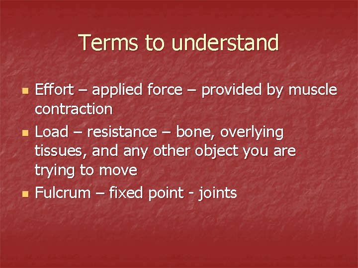 Terms to understand n n n Effort – applied force – provided by muscle