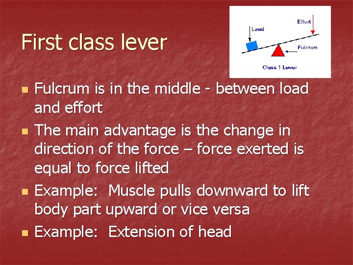 First class lever n n Fulcrum is in the middle - between load and