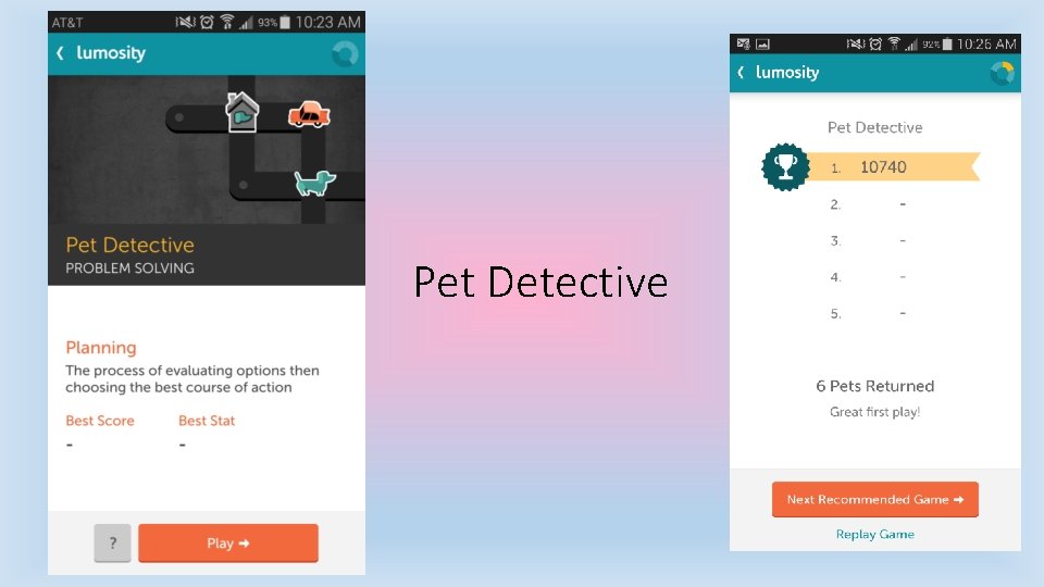 Pet Detective 