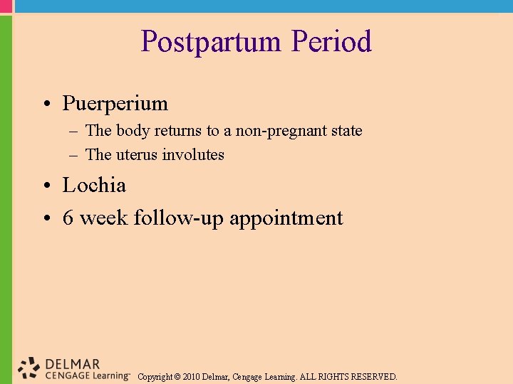 Postpartum Period • Puerperium – The body returns to a non-pregnant state – The