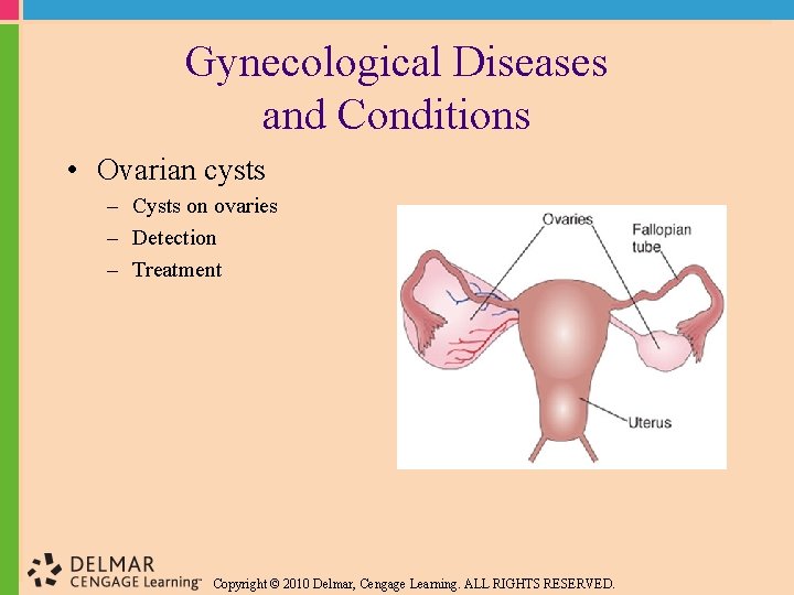 Gynecological Diseases and Conditions • Ovarian cysts – Cysts on ovaries – Detection –