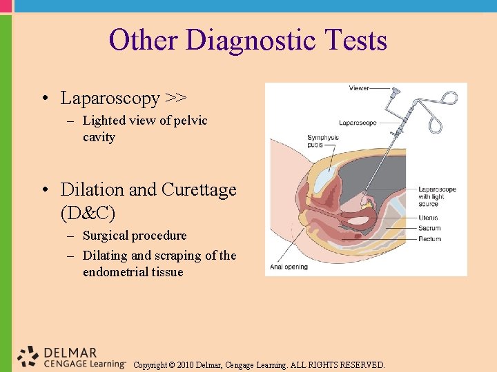 Other Diagnostic Tests • Laparoscopy >> – Lighted view of pelvic cavity • Dilation