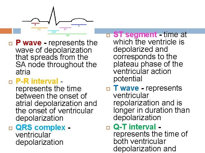  P wave - represents the wave of depolarization that spreads from the SA