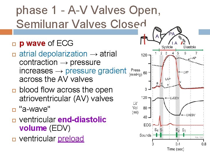 phase 1 - A-V Valves Open, Semilunar Valves Closed p wave of ECG atrial