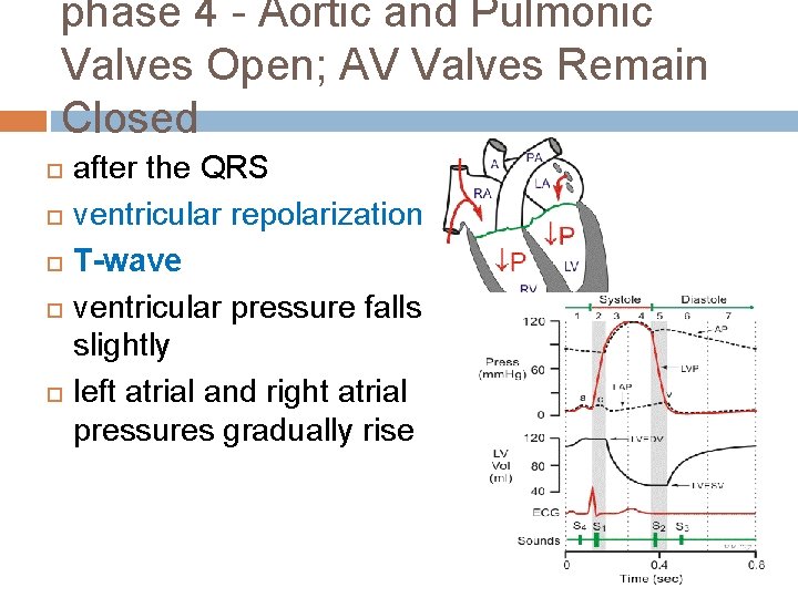 phase 4 - Aortic and Pulmonic Valves Open; AV Valves Remain Closed after the