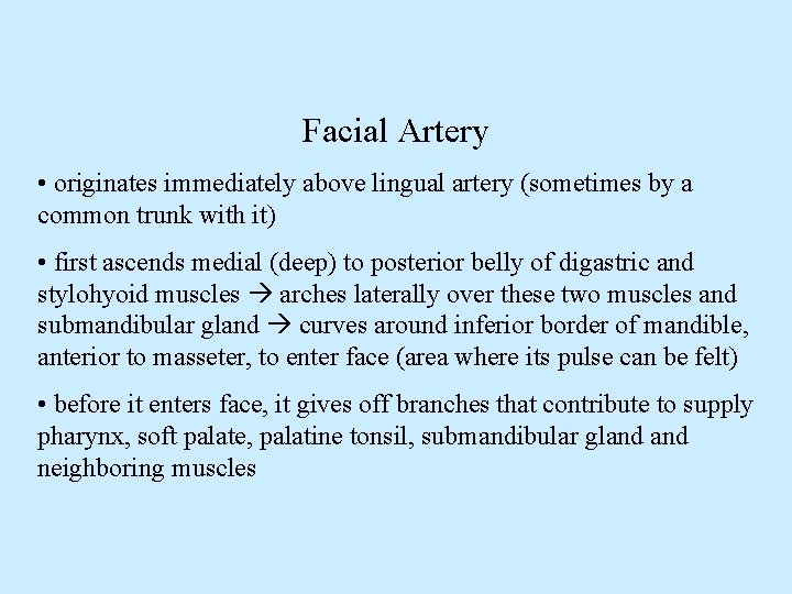 Facial Artery • originates immediately above lingual artery (sometimes by a common trunk with