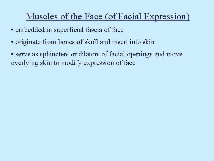 Muscles of the Face (of Facial Expression) • embedded in superficial fascia of face