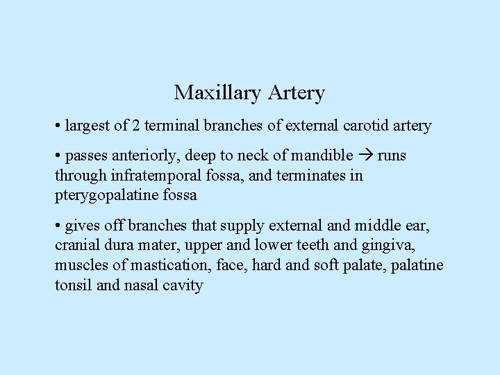 Maxillary Artery • largest of 2 terminal branches of external carotid artery • passes