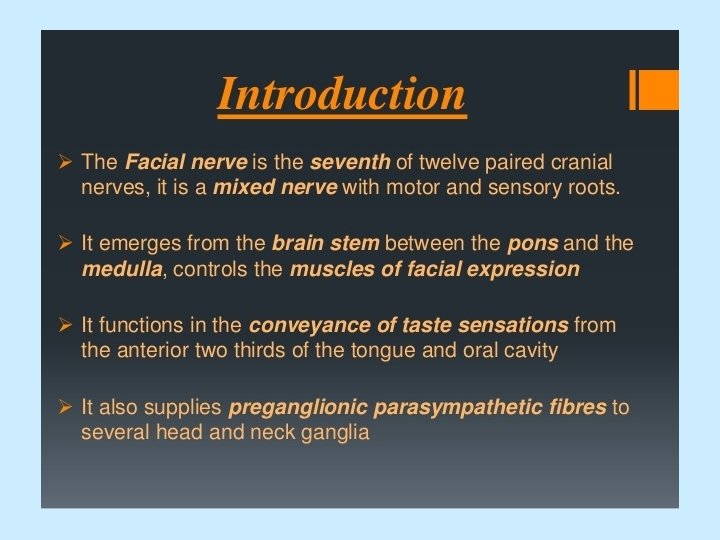 Motor Innervation Muscles of the Face 