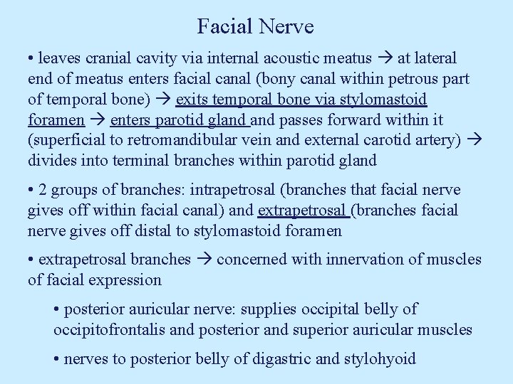 Facial Nerve • leaves cranial cavity via internal acoustic meatus at lateral end of