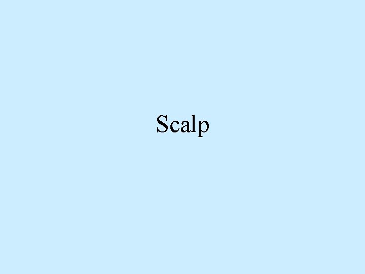 Scalp 