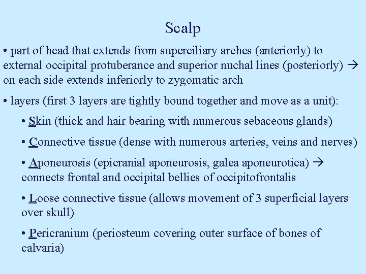 Scalp • part of head that extends from superciliary arches (anteriorly) to external occipital