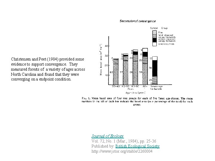 Christensen and Peet (1984) provided some evidence to support convergence. They measured forests of