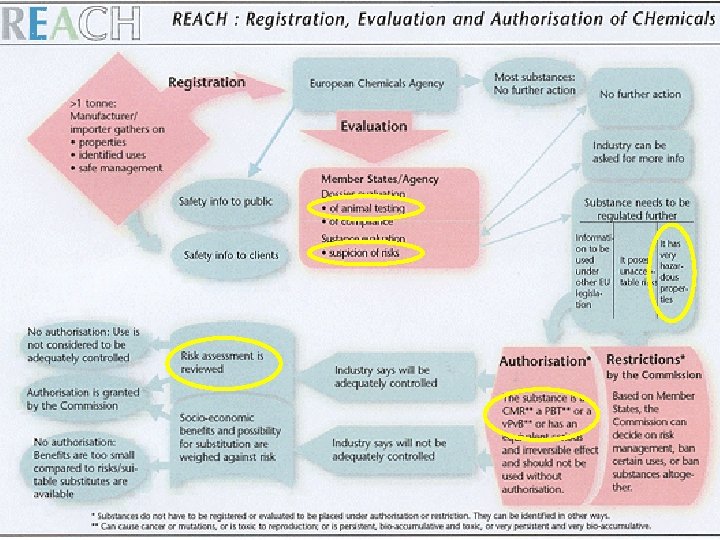 EU toekomst: REACH 