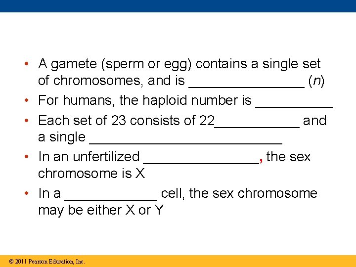  • A gamete (sperm or egg) contains a single set of chromosomes, and
