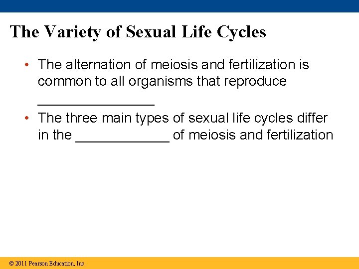 The Variety of Sexual Life Cycles • The alternation of meiosis and fertilization is