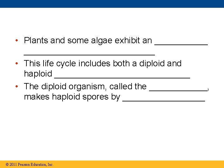  • Plants and some algae exhibit an ___________________ • This life cycle includes