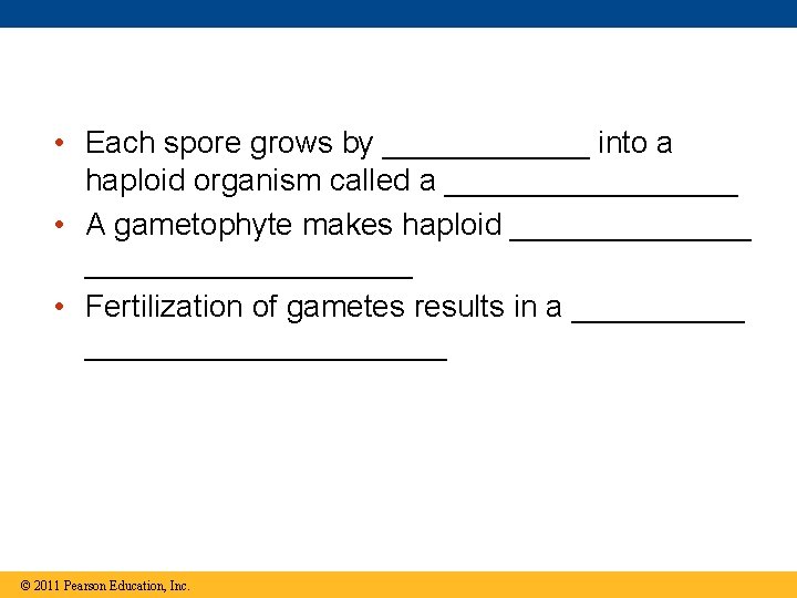  • Each spore grows by ______ into a haploid organism called a _________