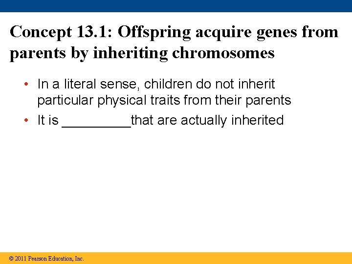 Concept 13. 1: Offspring acquire genes from parents by inheriting chromosomes • In a