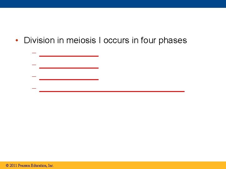  • Division in meiosis I occurs in four phases – – _______________________ ©