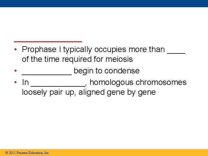 ________ • Prophase I typically occupies more than ____ of the time required for