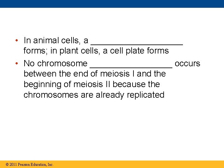  • In animal cells, a __________ forms; in plant cells, a cell plate